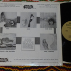 CRASH TOPS - CAT STEVENS - Teaser & Firecat - LP 1972 USA NM - pikkukuva 2