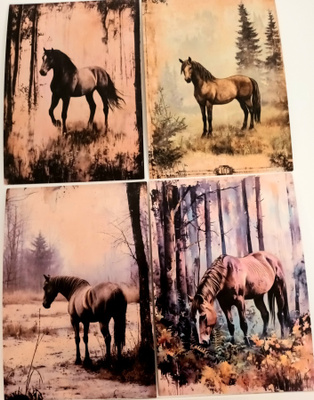 Postikortit HEVOSET / 4 kpl -setti