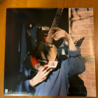 Mac DeMarco: Salad Days - LP - pikkukuva 2