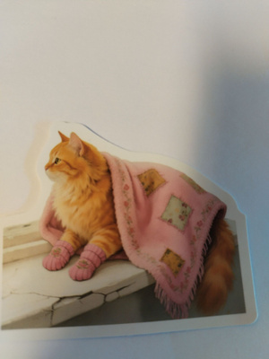 Kissa tarra.