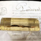 Natura Obscura – Entomologinen näyte no. 353 - pikkukuva 2