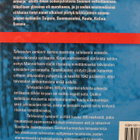 4kpl talvisotakirjoja - pikkukuva 2