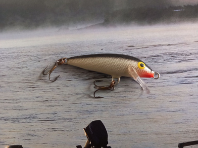 Rapala original 5