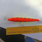 Rapala Barra Magnum - pikkukuva 3