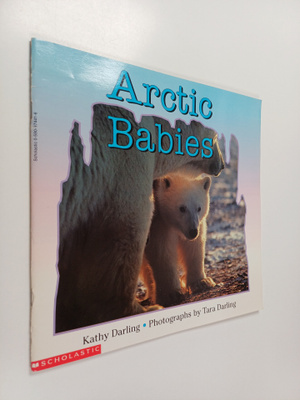 Kathy Darling : Arctic Babies