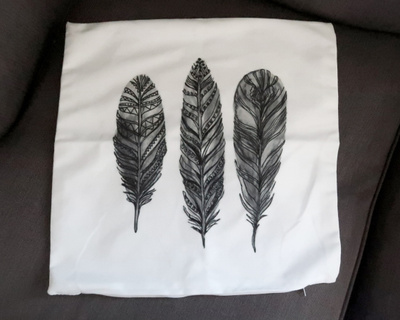 Tyynynpäällinen höyhen