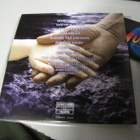 NIGHTWISH - CENTURY CHILD CD NELJÄLLÄ NIMMARILLA ! - pikkukuva 2