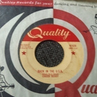 Chuck Berry sinkku - pikkukuva 2