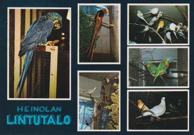 Heinola: Heinolan lintutalo