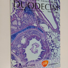 Duodecim 15/2001 - pikkukuva 1