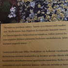 MIKA HONKALINNA: METSÄPÄIVIÄ - pikkukuva 2