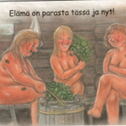 kortti ** Peltoniemi Terho Sauna - erilaisia - pikkukuva 3