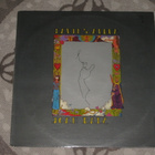 LP  Joan Baez – David's Album - pikkukuva 1