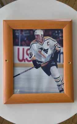 Mario Lemieux taulu (valokuva)