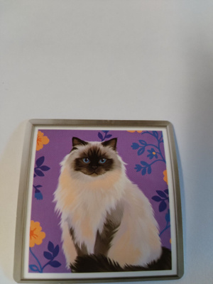 Kissa tarra.