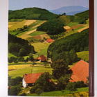 Der grosse ADAC-Fuhrer durch Wald, Feld und Flur : Natur ... - pikkukuva 2