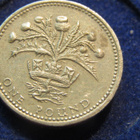 1 pound 1989. iso-Britannia - pikkukuva 2