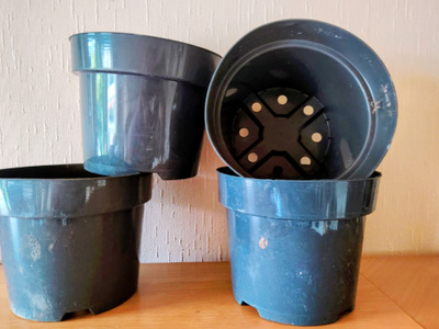 Kukkaruukku korkeus 15 cm