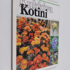 Kukkiva kotini 16/1986 - pikkukuva 1