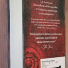 C. J. Sansom : Amuletti ( 1.p. 2017 k.po ) - pikkukuva 2