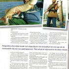 Fiske för alla n:o 7 1996 Vieraskielinen.  Katso lisäkuvat - pikkukuva 4