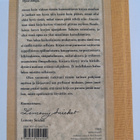 Lemony Snicket : Painajaisten parantola - pikkukuva 2