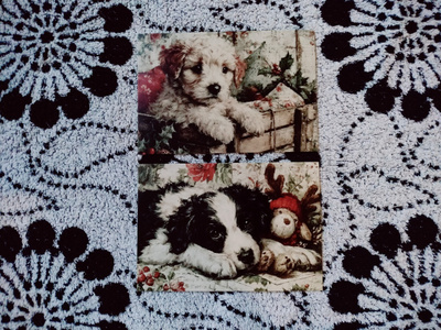 ~Koira kortti~ 2kpl