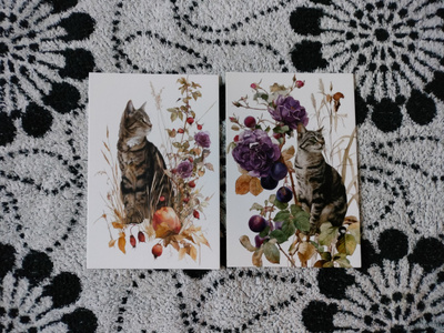 ~Kissa kortti~ 2kpl