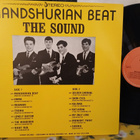 The Sounds LP - pikkukuva 2