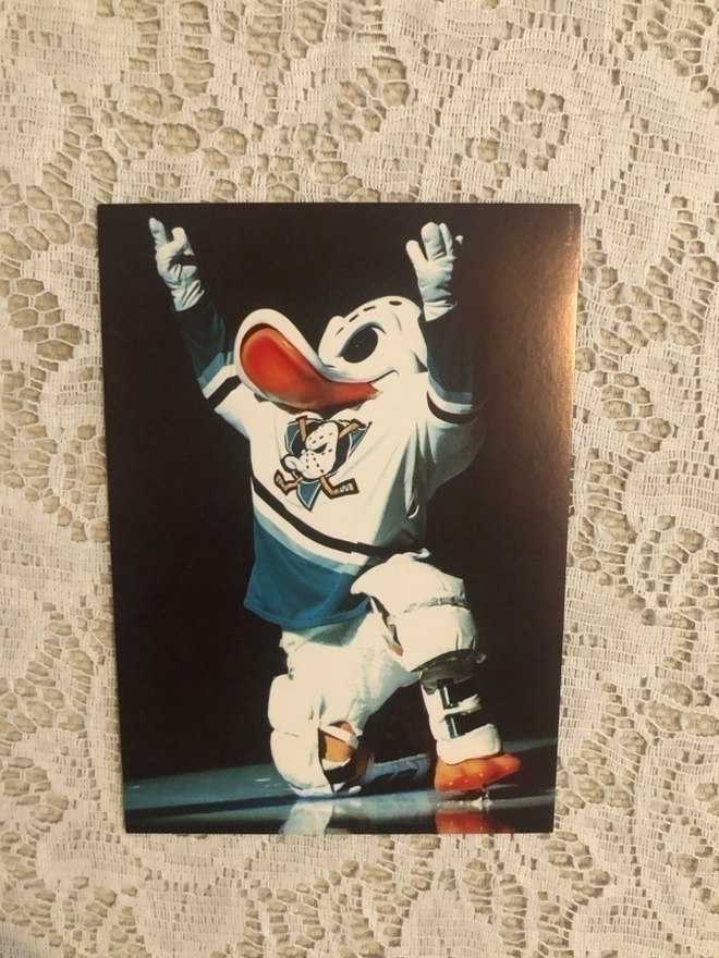 Postikortti: Mighty Ducks of Anaheim.