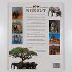 Barbara Taylor : Norsut - pikkukuva 2