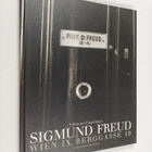 Inge Scholz-Strasser ym. : Sigmund Freud - Wien IX. Bergg... - pikkukuva 1