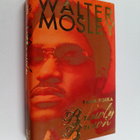 Walter Mosley : Paha poika Brawly Brown - pikkukuva 1