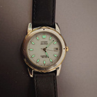 Citizen ecodrive - pikkukuva 1