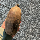 KENTTÄPULLO - pikkukuva 5