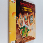 Geronimo Stilton : Saiturinlinnassa - pikkukuva 1