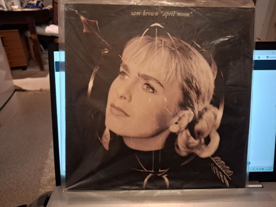 Sam Brown – April Moon vinyyli