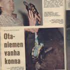 Apu n:o 11 1961 60-luvun Helsinkitär Arja Pessa & muut. - pikkukuva 3