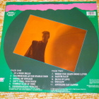 BRUCE COCKBURN - Big Circumstance - LP 1989 rock EX - pikkukuva 2