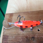 Salmo  Floating Hornet 4 Sparkling Red Black - pikkukuva 4