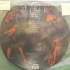 DEVIL'S WHOREHOUSE - REVELATION UNORTHODOX - PICTURE LP EX- - pikkukuva 2