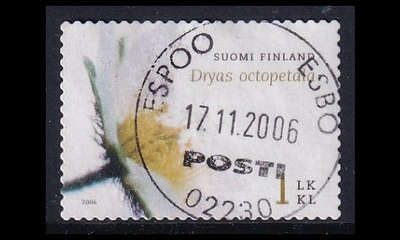 1807 o Lapinvuokko Espoo 17.11.2006 (2006)