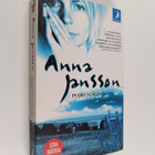 Anna Jansson : Pojke försvunnen - pikkukuva 1