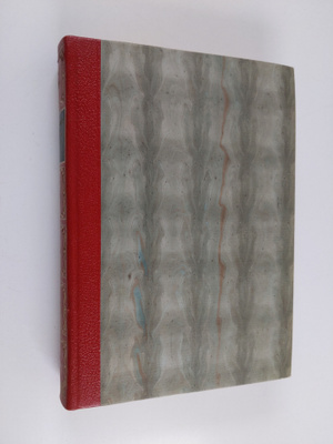 Thomas Mann : Taikavuori 2