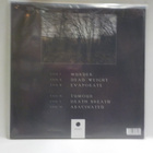 MORBID EVILS - DECEASES UUSI LP - pikkukuva 2