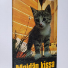 Meidän kissa - pikkukuva 1
