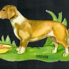 EO 5802 - Dreeveri - Maj Lindman - pikkukuva 1