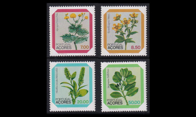 Azorit 345-8 ** Käyttösarja kukkia (1981)