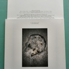 PJ Harvey-Glorious land>[7"] - pikkukuva 2