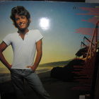 Andy Gibb - Andy Gibb's Greatest Hits LP - pikkukuva 2